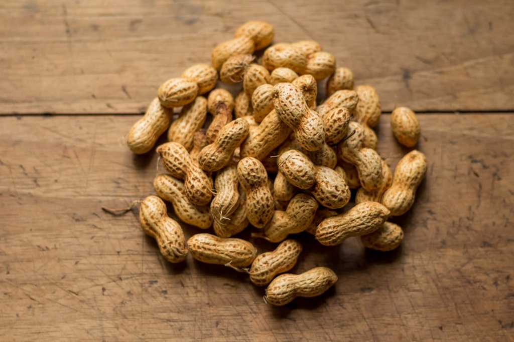 [5763] PLANTERS COCKTAIL PEANUTS