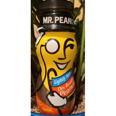Planters Salted Peanut 49g