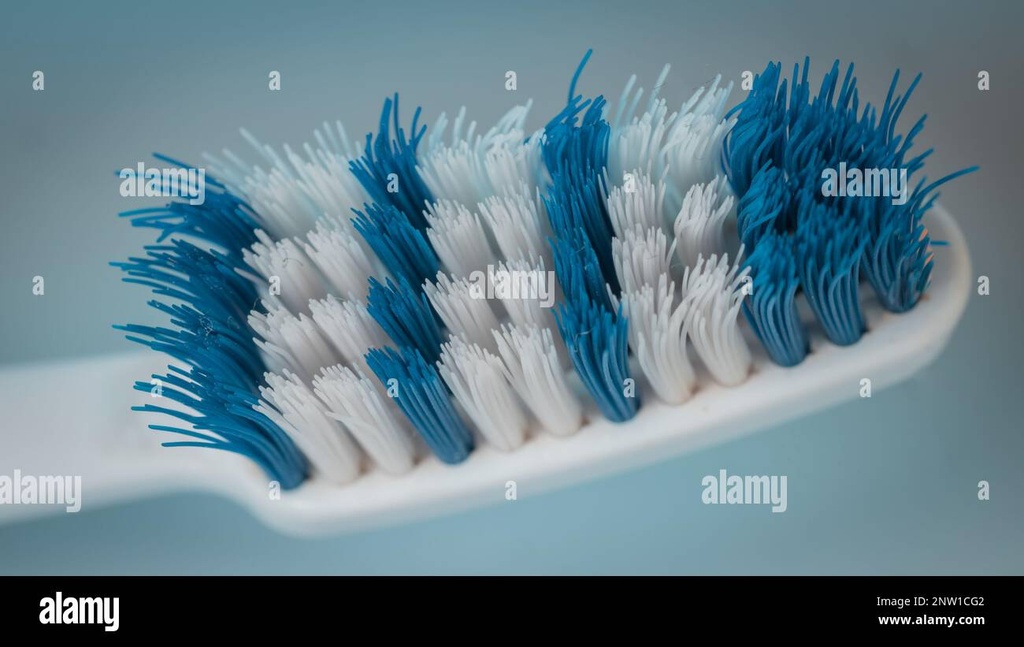 [16266] close up tooth brush